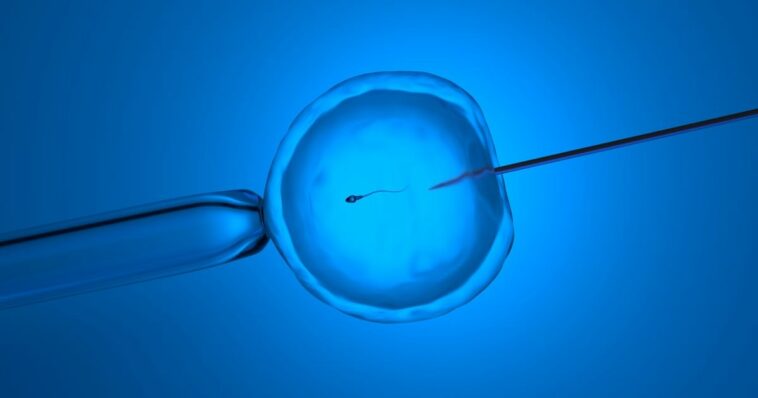 With abortion laws shifting, in vitro fertilization providers wonder if they're next