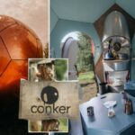 Pictures of the conker house