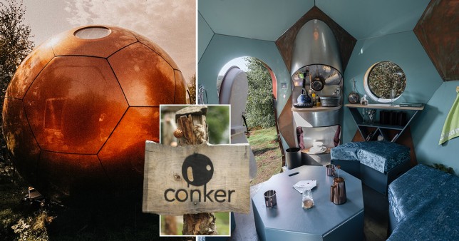 Pictures of the conker house