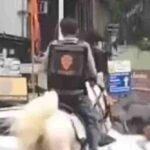 ‘Enough horsin’ around’: Swiggy finds mysterious delivery executive on a horse; rewards his aid