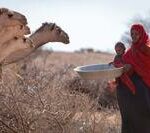 Africa drought: Some children just ‘one disease away from catastrophe’ UNICEF warns