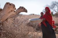 Africa drought: Some children just ‘one disease away from catastrophe’ UNICEF warns