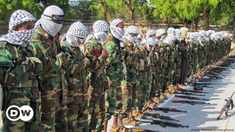 Al-Shabab: Somalia's Islamist militant group