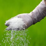 Centre implements ‘One Nation One Fertiliser’ plan under