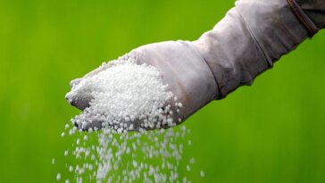 Centre implements ‘One Nation One Fertiliser’ plan under