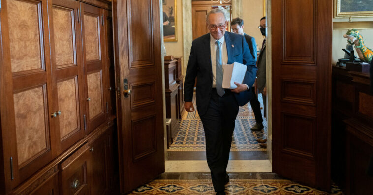 Chuck Schumer, the ‘Happy Worrier,’ Delivers