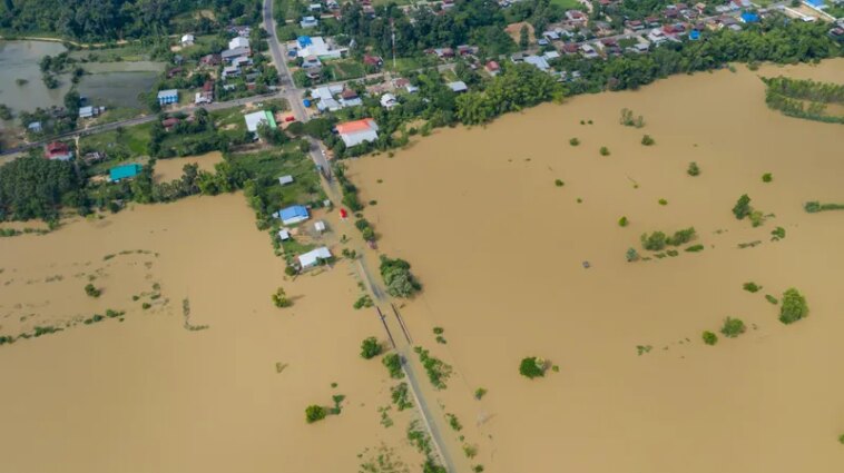 News Picture: Climate Change Making 218 Infectious Diseases Even Worse