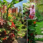 man in jungle garden