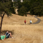 Drought Is Declared in Parts of a Hot, Dry Britain