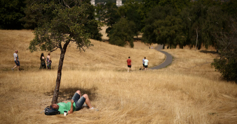 Drought Is Declared in Parts of a Hot, Dry Britain