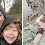 Family of girl hit by bus vow to keep fighting after council 'reject' calls for pedestrian crossing