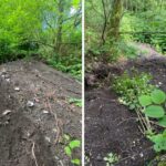 Fears as popular park damaged by 'bottle diggers'