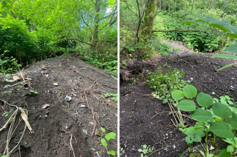 Fears as popular park damaged by 'bottle diggers'