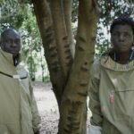 First Person: The honey business owner creating a buzz in northern Uganda