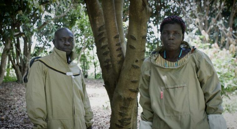 First Person: The honey business owner creating a buzz in northern Uganda