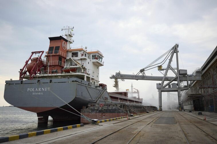 Four more grain ships set sail from Ukraine's Black Sea ports in UN-brokered deal