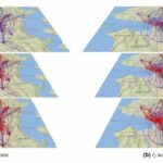 Graph-based model predicts pandemic waves