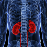 HHS and ASN announce new KidneyX artificial kidney funding