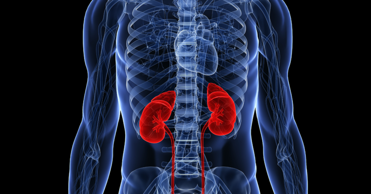 HHS and ASN announce new KidneyX artificial kidney funding