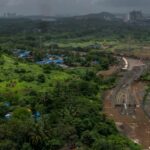 India: Metro project at Mumbai's Aarey forest stokes ecological concerns