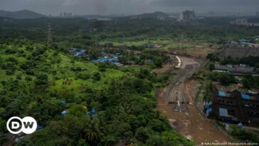 India: Metro project at Mumbai's Aarey forest stokes ecological concerns