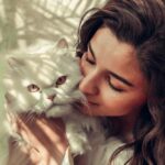 alia bhatt, cat, edward