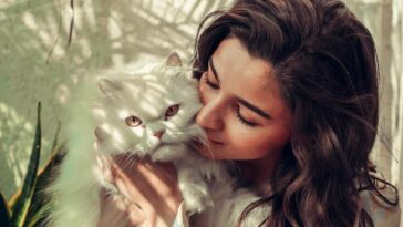 alia bhatt, cat, edward