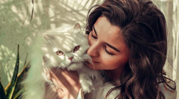 alia bhatt, cat, edward