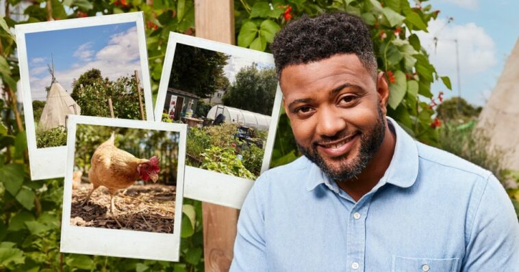 JB Gill from JLS is in a HelloFresh garden wearing a blue shirt. He is smiling at the camera.   To the left there are three polaroids. One shows a chicken, the other shows plants and vegetables growing in rows of troughs in a HelloFresh garden. There is a white greenhouse tent in the distance. The final one shows a white tent in a HelloFresh garden.