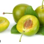 Kakadu plum, Kakadu plum skincare, what is Kakadu plum, Kakadu plum for skincare, skincare tips, Kakadu plum extract, indian express news