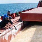 More lifesaving grain shipments authorized to leave Ukraine