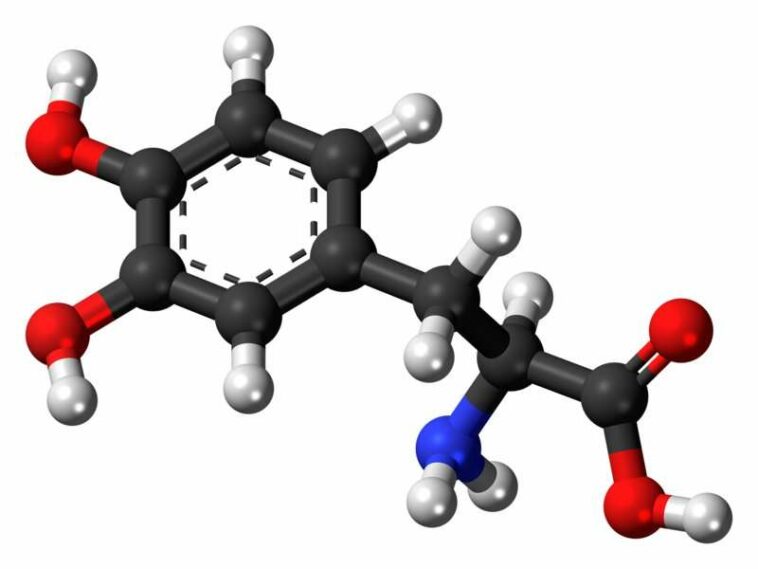 Study of OTC supplements shows some have very high levels of levodopa