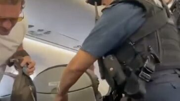 'Can you get off?' Footage has emerged of the moment that Lee Ryan was removed from a British Airways flight at London City Airport by armed police before allegedly being arrested