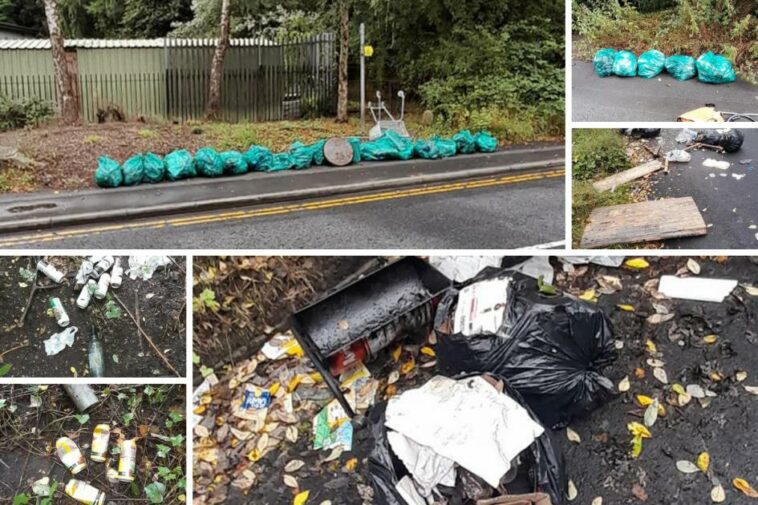 'There are a lot of lovely areas in Bolton and they are being ruined' - litter picker speaks out