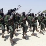 U.S. airstrike in Somalia kills 13 al Shabab terrorists: Reports