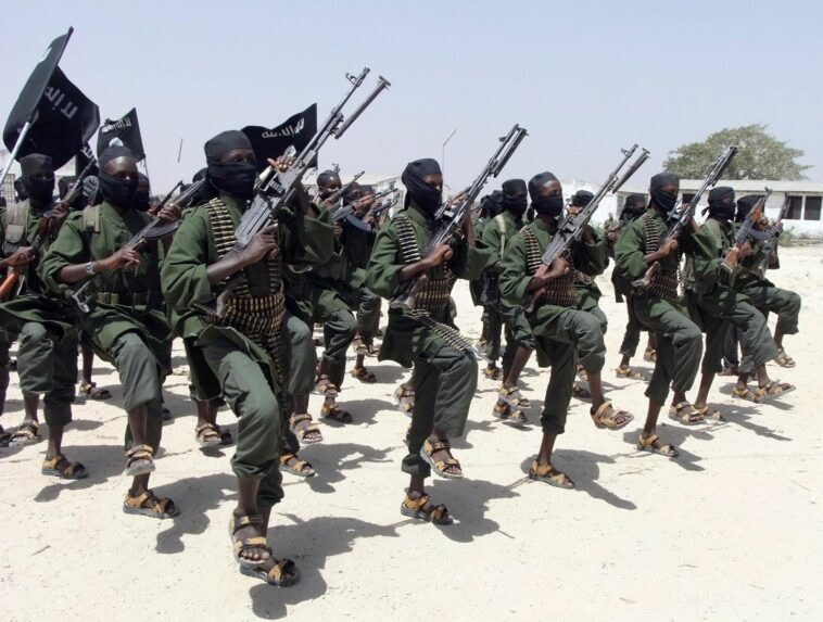 U.S. airstrike in Somalia kills 13 al Shabab terrorists: Reports