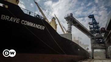 Ukraine: First humanitarian grain ship leaves port for Africa