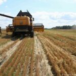 Ukraine: Obstacles to global grain shipments remain