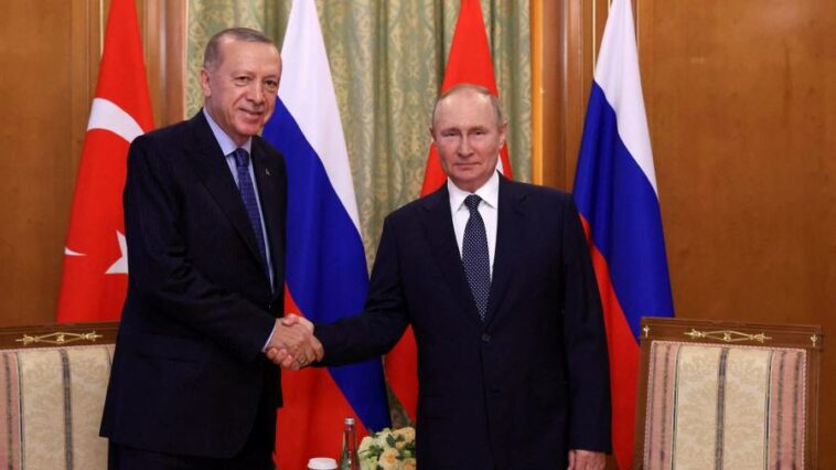 Vladimir Putin and Recep Tayyip Erdoğan vow to deepen economic ties