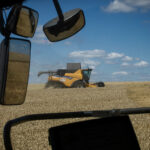 War, Climate Change, Energy Costs: How the Wheat Market Has Been Upended