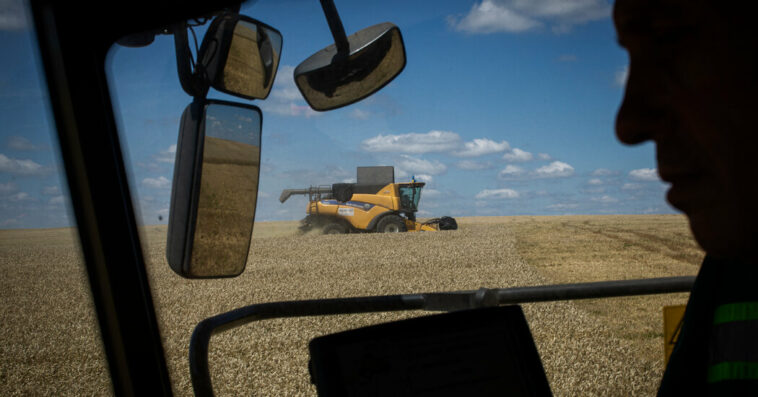 War, Climate Change, Energy Costs: How the Wheat Market Has Been Upended