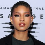 Willow Smith Says Family’s “Humanness Sometimes Isn’t Accepted” Following Reaction to Will Smith Oscars Incident