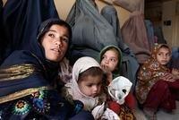 ‘Immensely bleak’ future for Afghanistan unless massive human rights reversal, experts warn