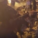 'We found a beauty': Ukrainian firefighters save kitten from burning building