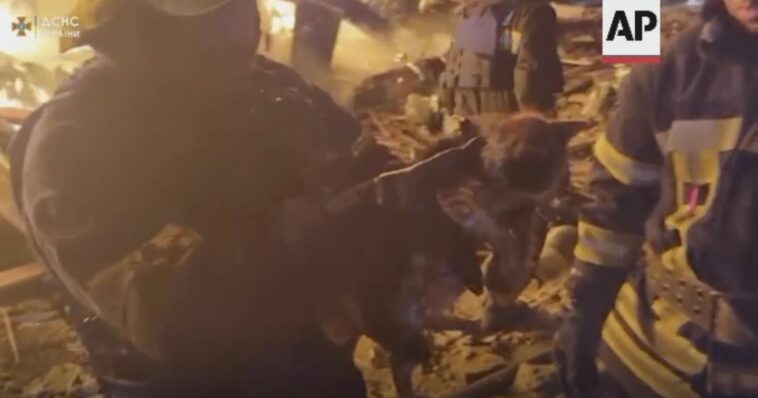 'We found a beauty': Ukrainian firefighters save kitten from burning building