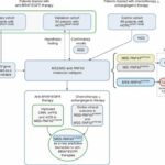 VHIO-led study unveils predictive biomarker of response to therapy in patients with microsatellite stable BRAFV600E metastatic c