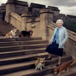 Tour de Corgi event, Tour de Corgi to honour Queen Elizabeth, Queen Elizabeth II death, Queen Elizabeth corgi dogs, Queen Elizabeth dog lover, indian express news