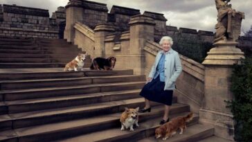 Tour de Corgi event, Tour de Corgi to honour Queen Elizabeth, Queen Elizabeth II death, Queen Elizabeth corgi dogs, Queen Elizabeth dog lover, indian express news