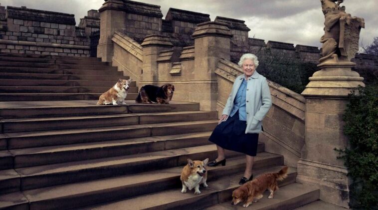 Tour de Corgi event, Tour de Corgi to honour Queen Elizabeth, Queen Elizabeth II death, Queen Elizabeth corgi dogs, Queen Elizabeth dog lover, indian express news