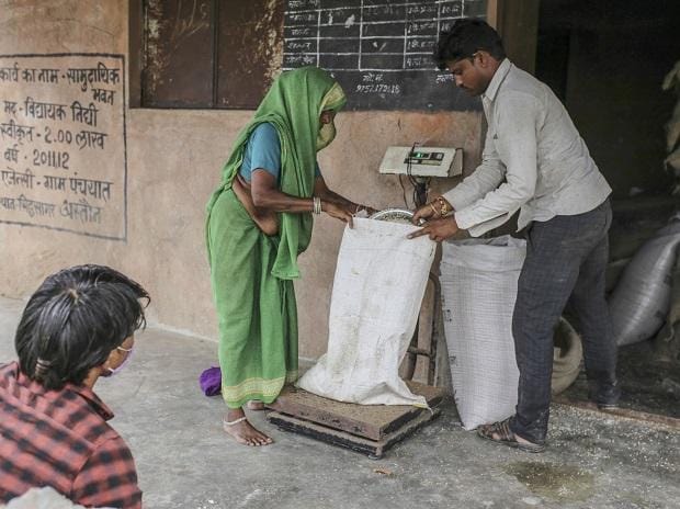 free food grains program